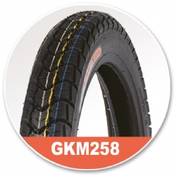 GKM259