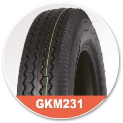 GKM231