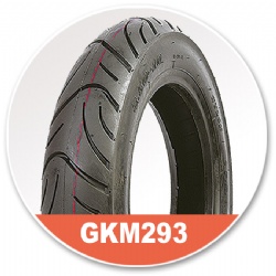 GKM293